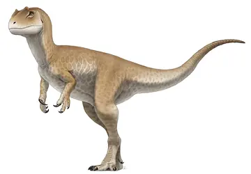 Allosaurus